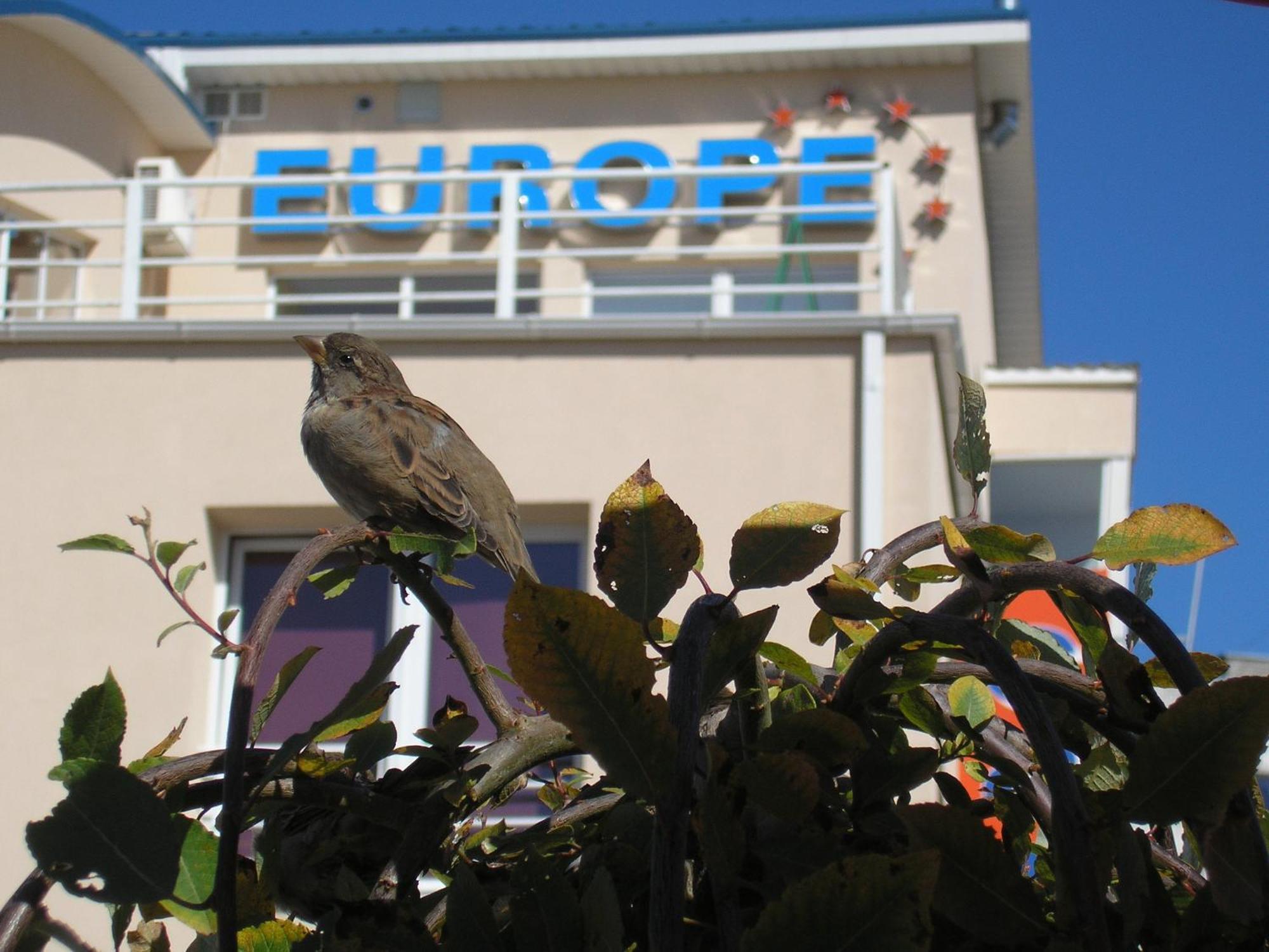 Europe Guesthouse Нарва Экстерьер фото